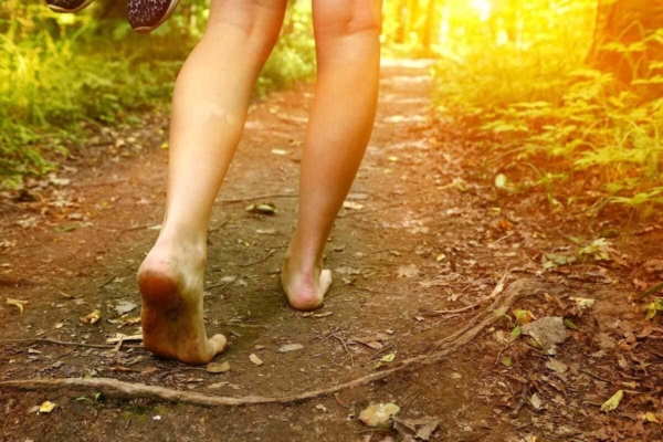 Un weekend créatif de « ré-ensauvagement”