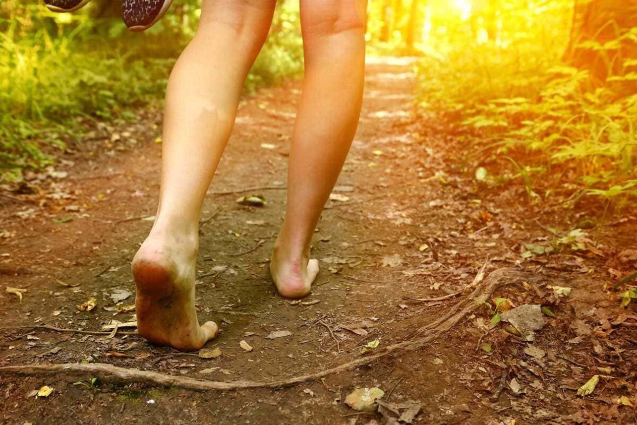 Un weekend créatif de « ré-ensauvagement”
