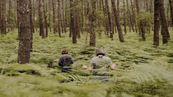 Conférence sur les bienfaits thérapeutiques des arbres, bain de forêt au crépuscule et moment convivial !