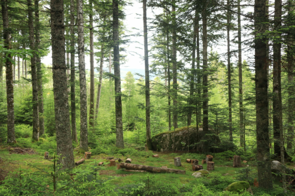 Après-midi créatif et pédagogique