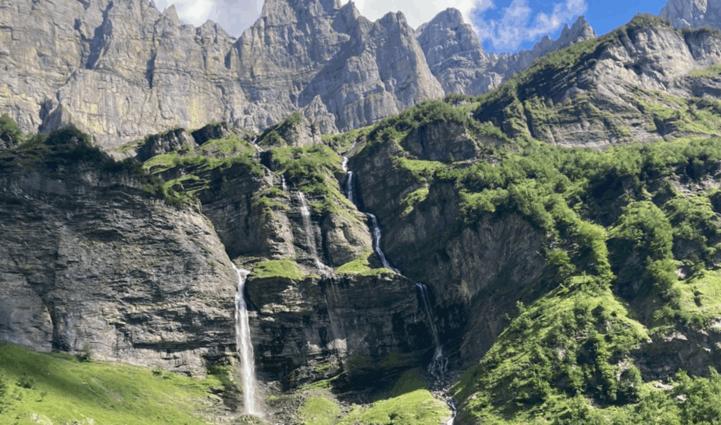 La Forêt et l’Eau, architectes paysagers et réservoirs de biodiversité