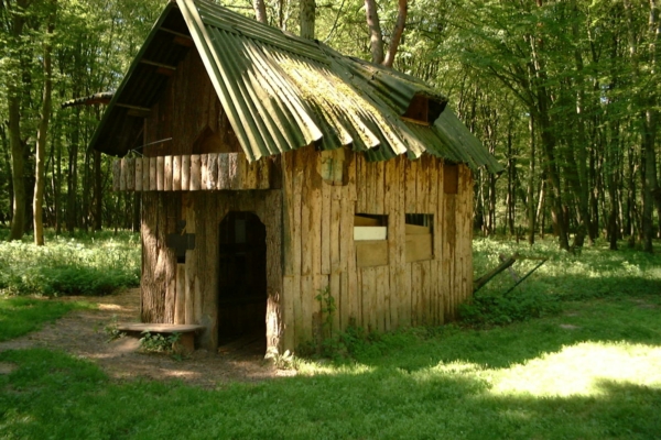 Balade Bacotte à Bois-le-Roi