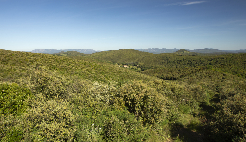 Les Nuits des Forêts 2025 en Provence-Alpes-Côtes d’Azur