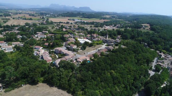 Balade à deux voix : la forêt et ses fonctions