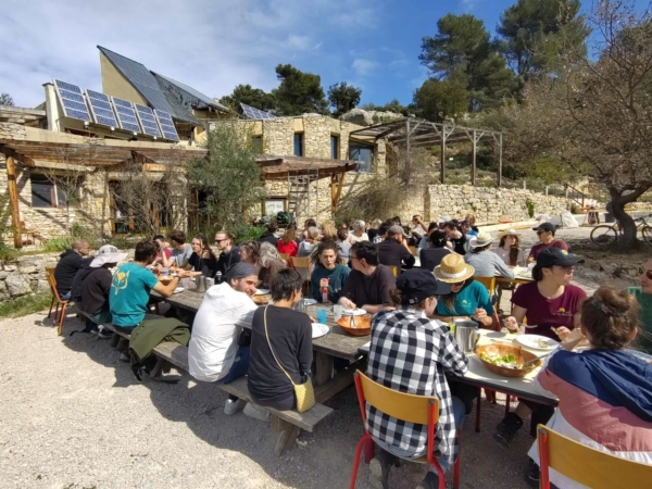 3 chantiers pour protéger la forêt de Peyrolles-en-Provence