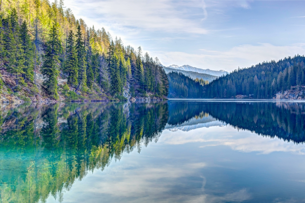La Forêt et l’Eau, aux fondements de la vie sur Terre