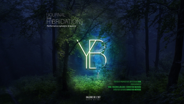 YB – Journal d’une hybridation, Performance sylvestre et sonore