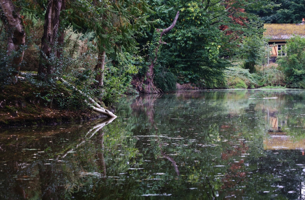 Chantier Wooding en forêt de Brocéliande !