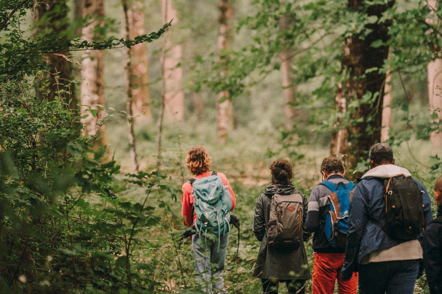 Un samedi dans la forêt d&rsquo;Oihaneki