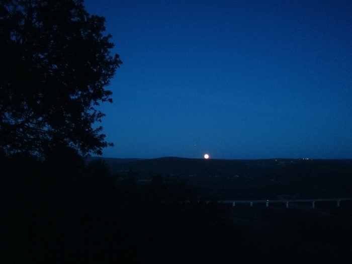 Nuit à la belle étoile au cœur de la forêt