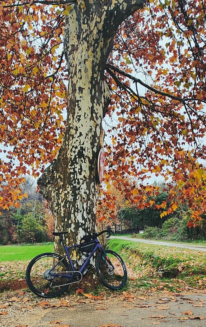 Sur la piste des animaux, à pied ou à vélo