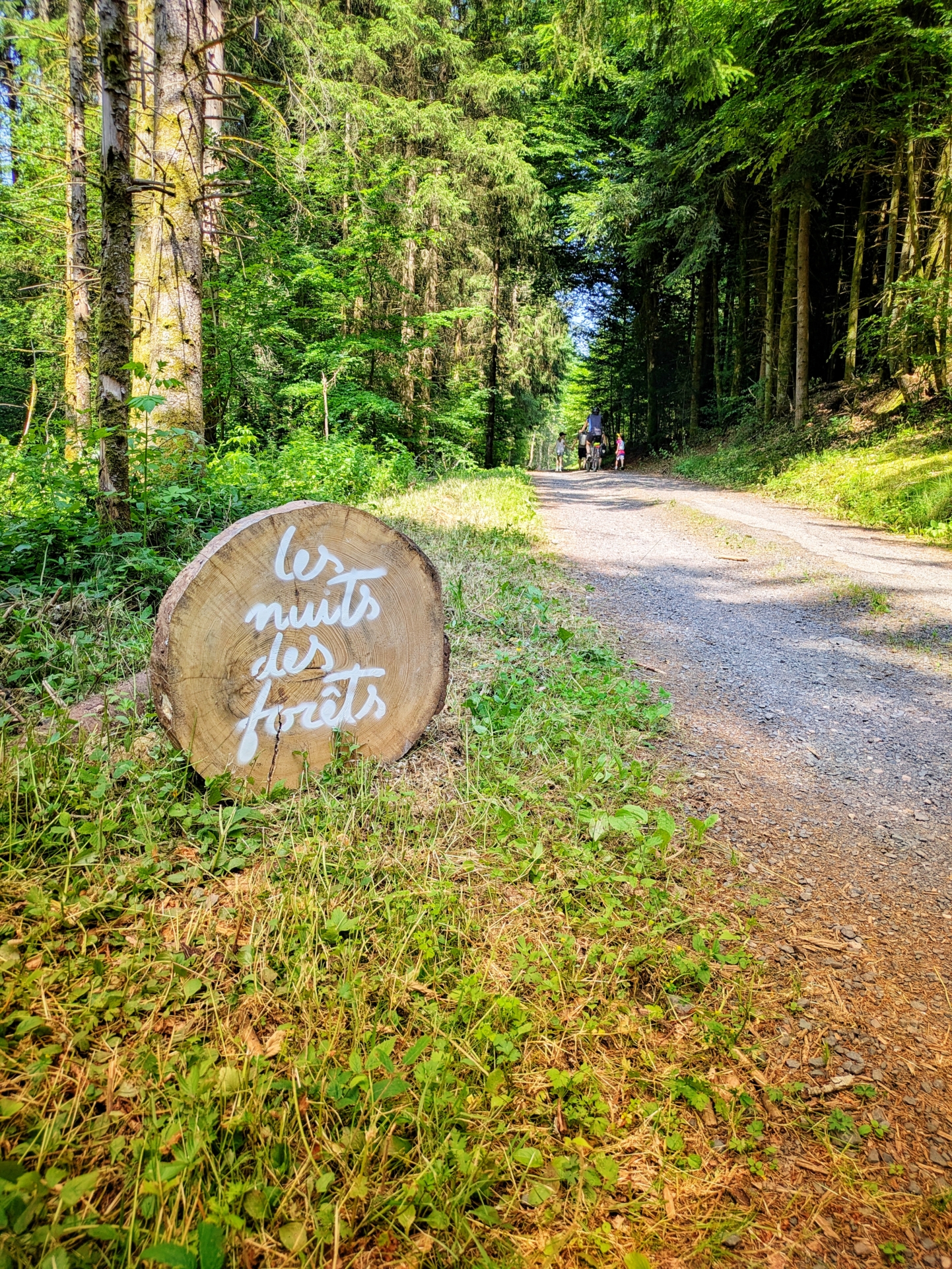 Cinéma de plein air