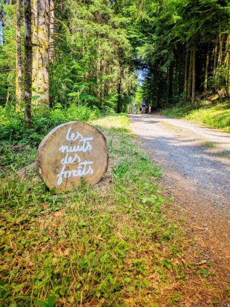 Cinéma de plein air