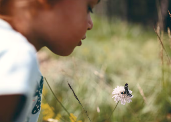Soirée à la découverte de la flore et de la faune