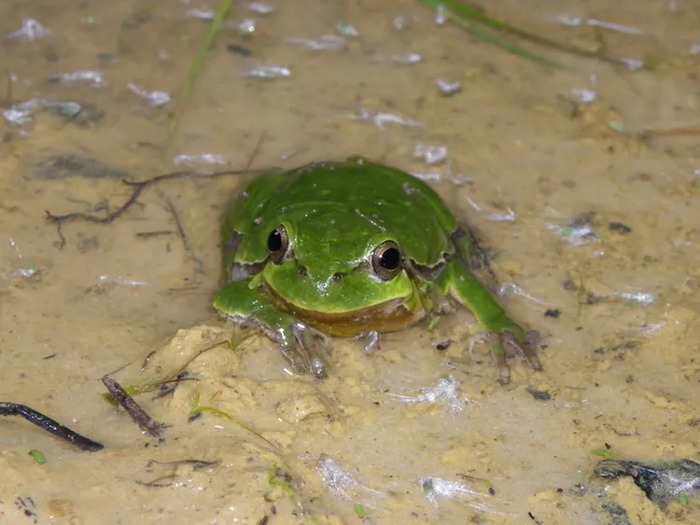 Balade crépusculaire dans la carrière de Belle-Assise