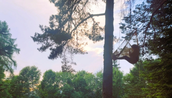 Découverte artistique et sensorielle à l’arboretum des Signaraux