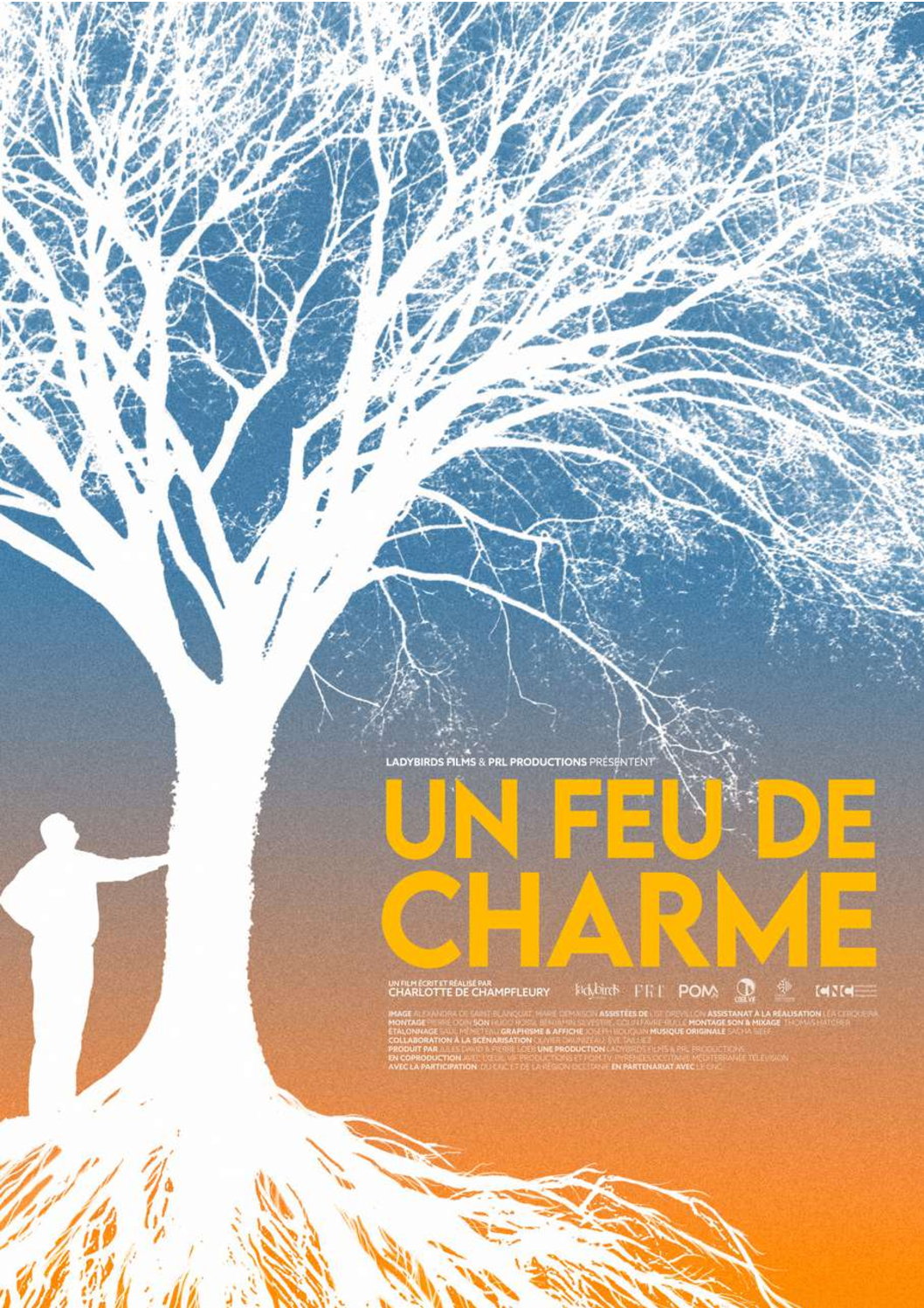 La forêt de la Bassède à l’honneur en Périgord Noir