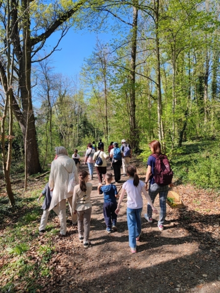 Balade à la rencontre de la biodiversité et des plantes sauvages