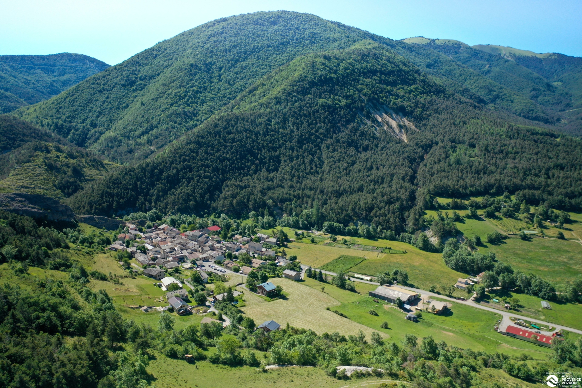 Venez vous balader dans la forêt de Chamatte !