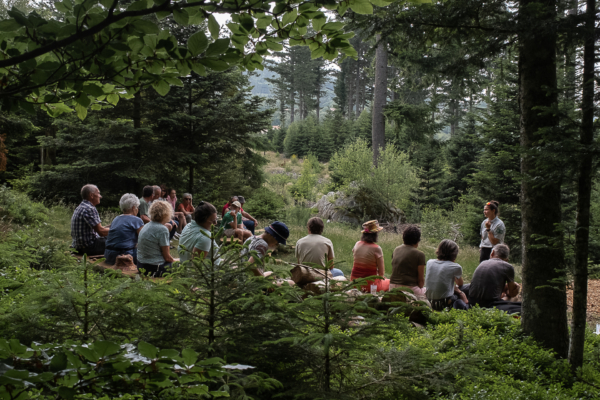 Balade immersive et artistique