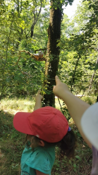 Le 13 juin au cœur de la forêt de la Double