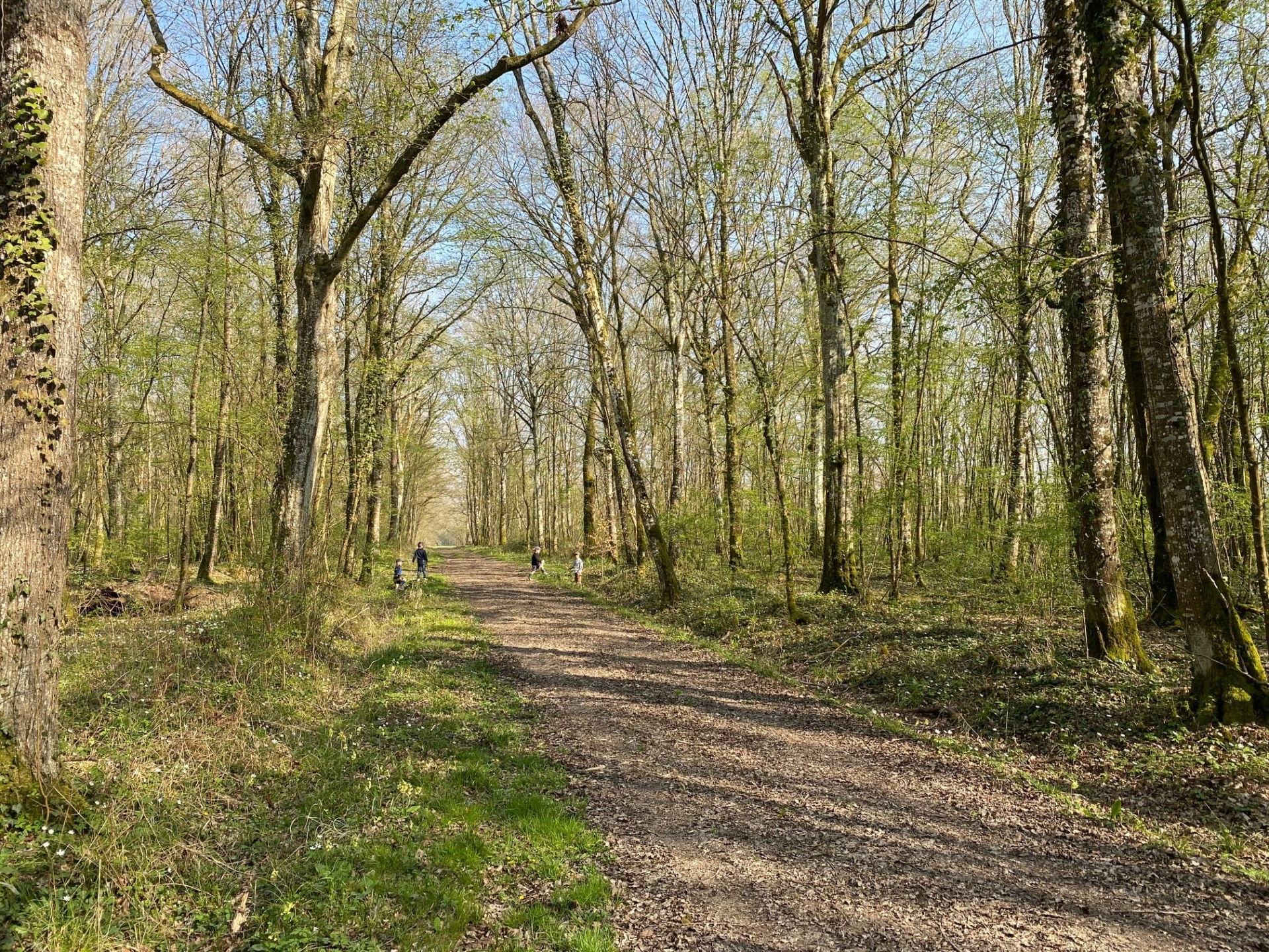 Rallye nature à la Pelouse des Brebis