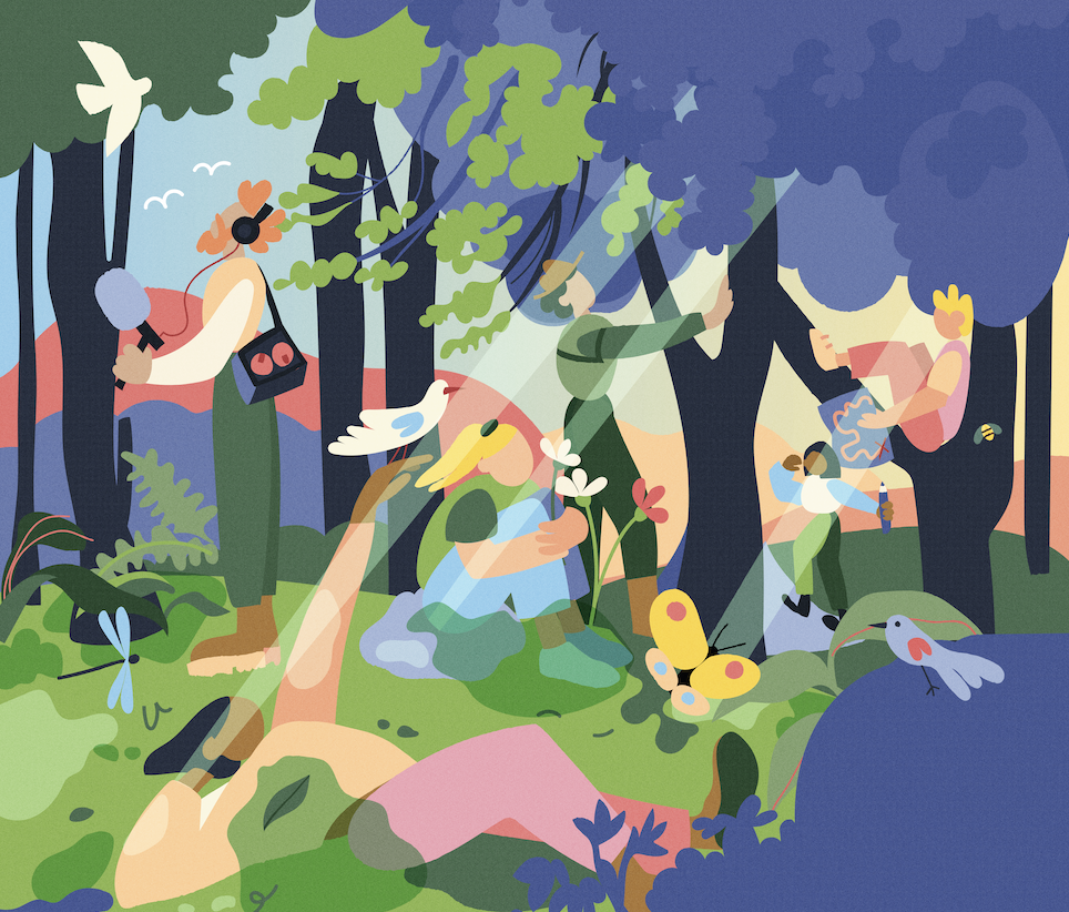 Une édition pour comprendre ce que la forêt a à nous dire