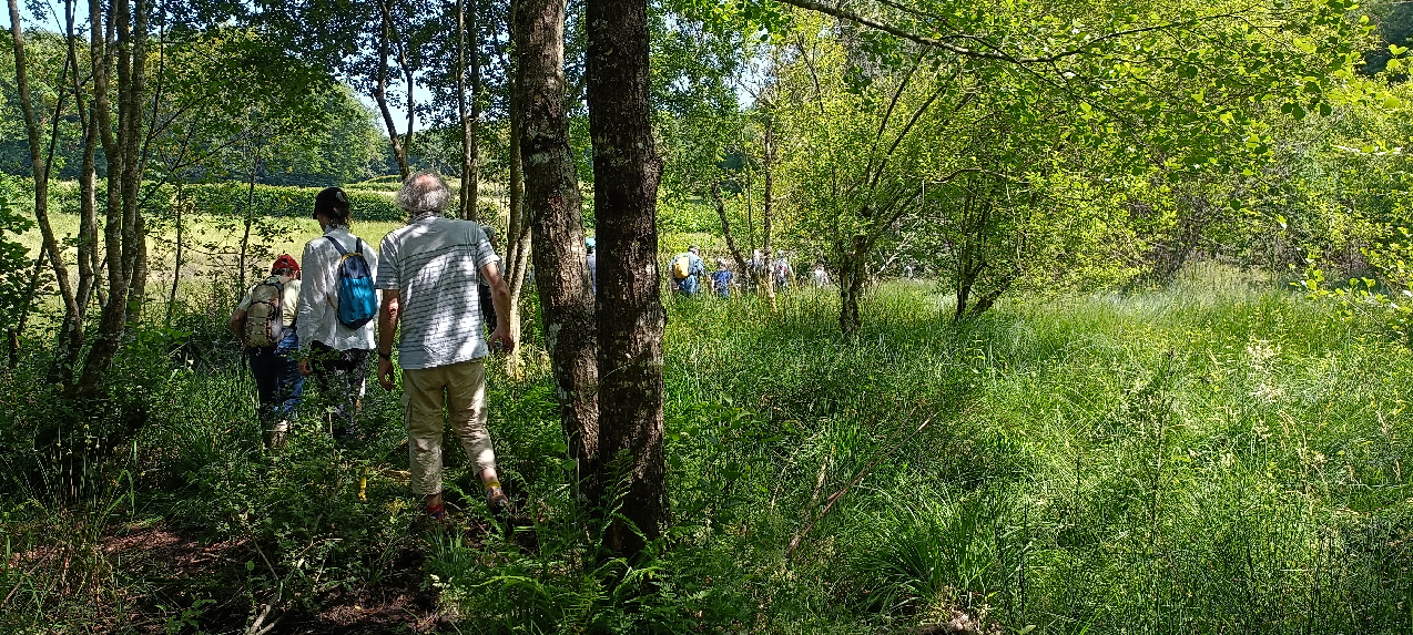 Découverte des forêts du Groupement Forestier du Chat Sauvage