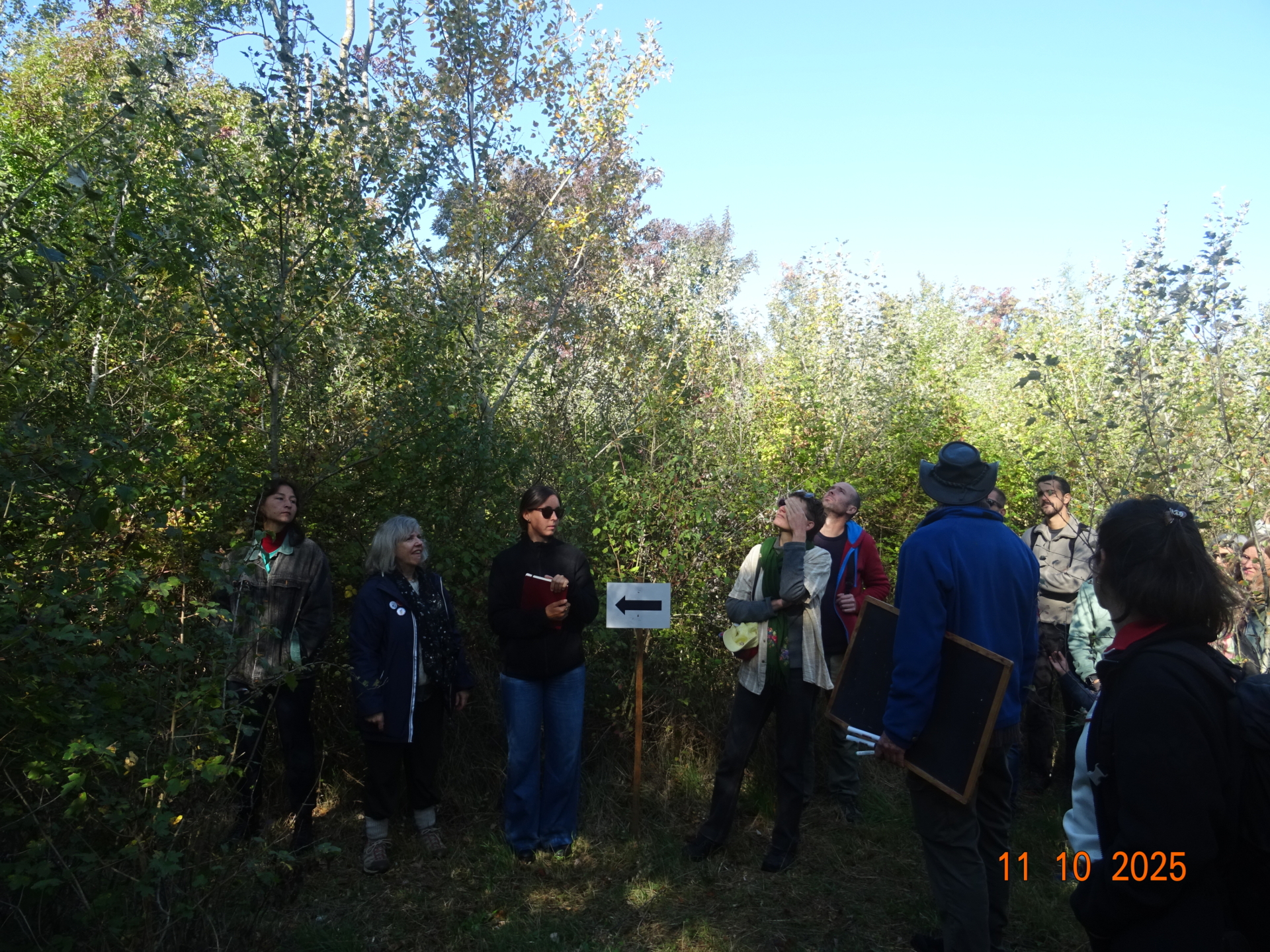 Immersion au cœur de la ripisylve – Des Racines aux Cimes