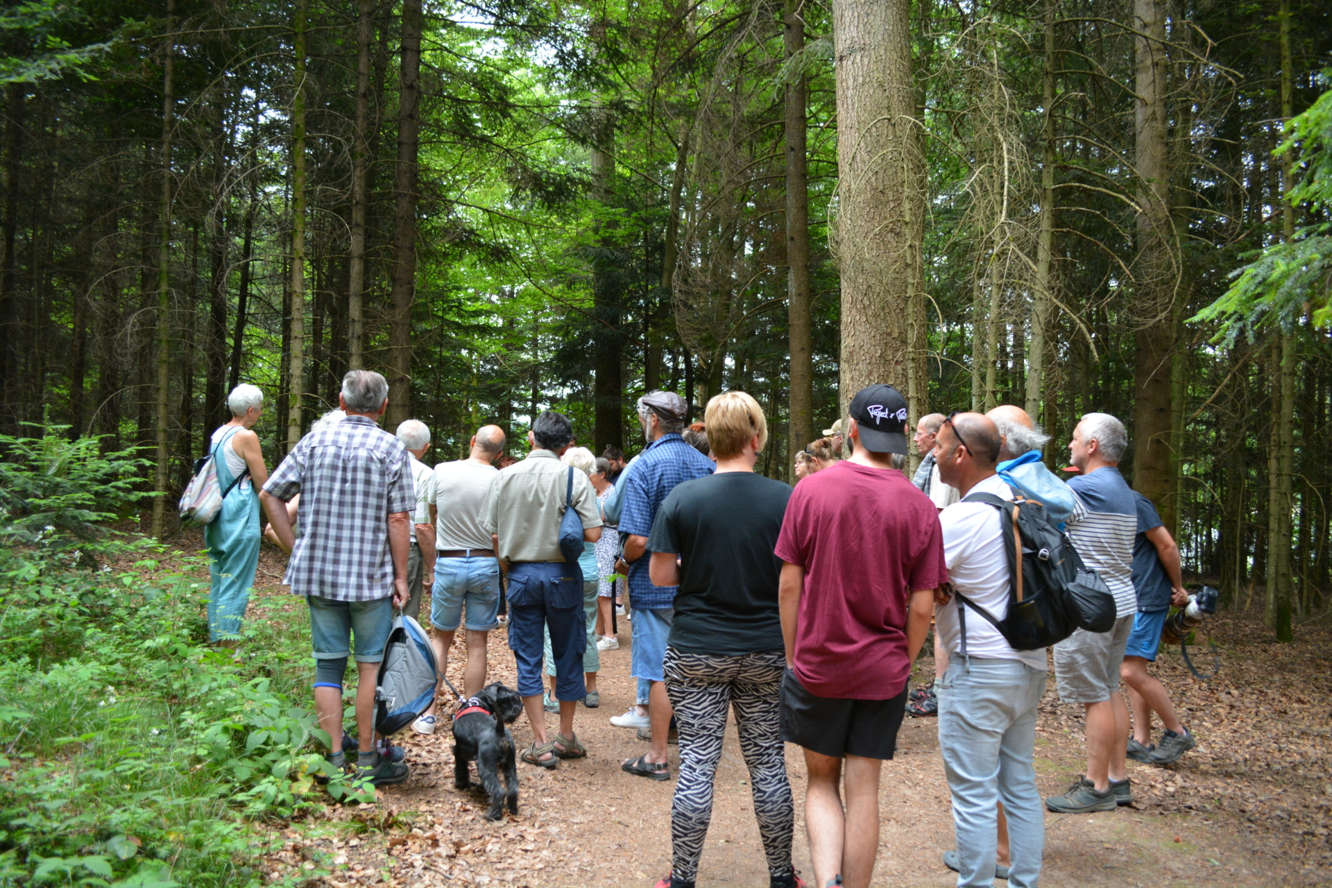 Parcours nocturne – Multifonctionnalité de la forêt