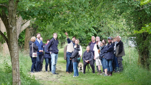 Balades à l&rsquo;écoute de la forêt