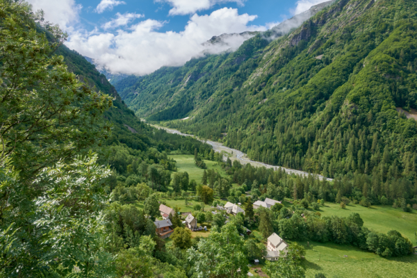 Plongez dans la forêt de Molines en Champsaur !