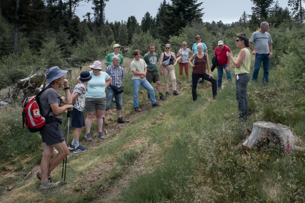 Balade immersive et artistique