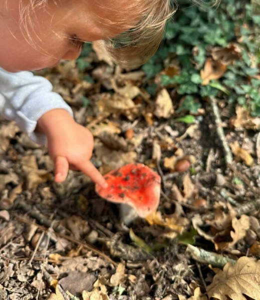 Découvrir la vie cachée des forêts