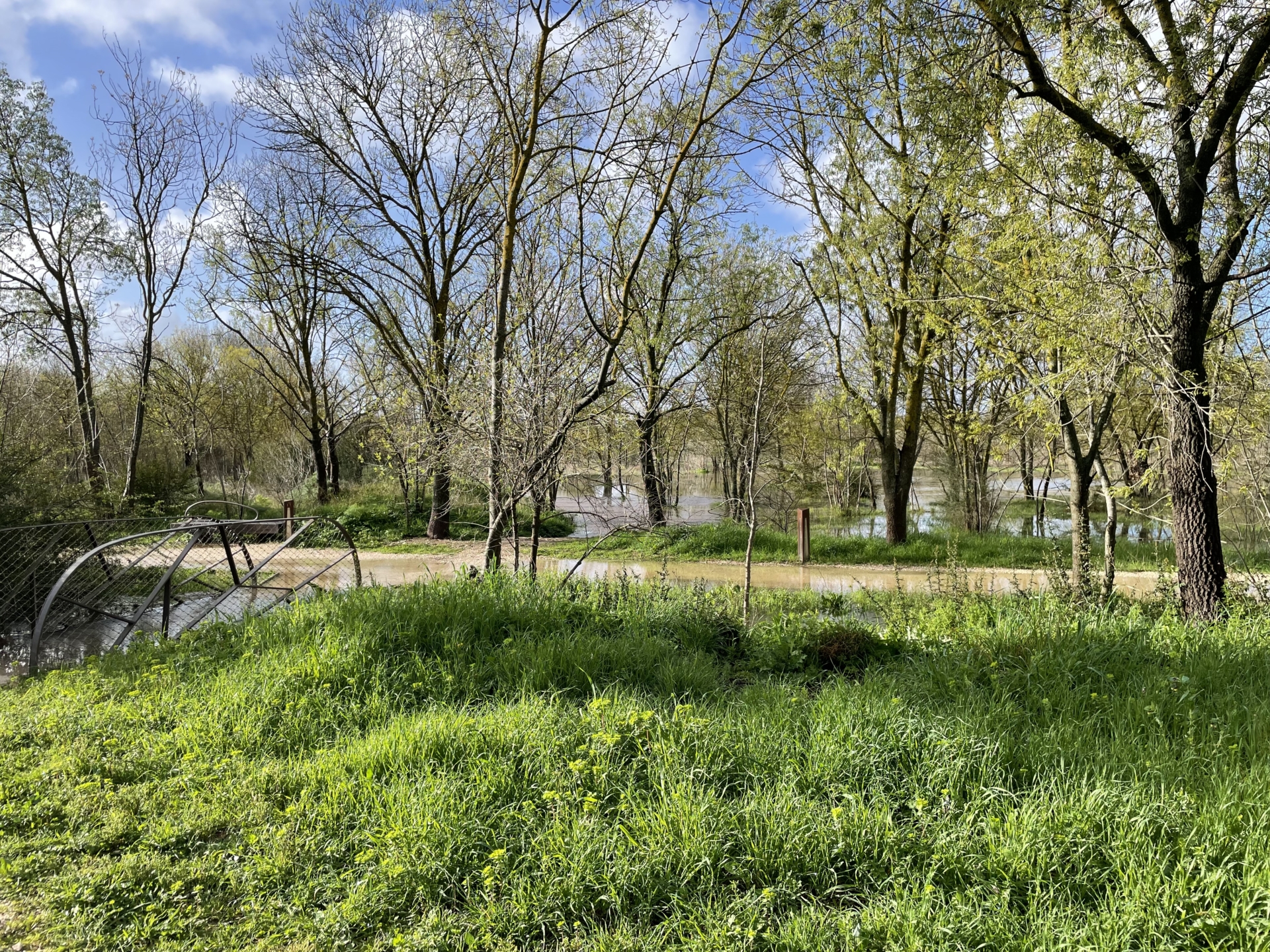 Samedi 6 juin en forêt du Plan