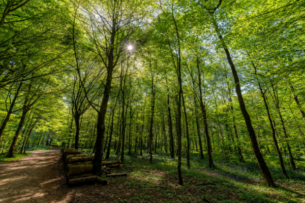À la découverte de la Montagne Noire !