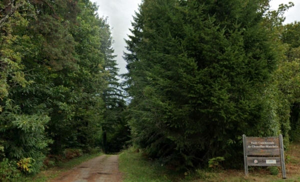 Un dimanche à la découverte de la vallée de la Dordogne corrézienne