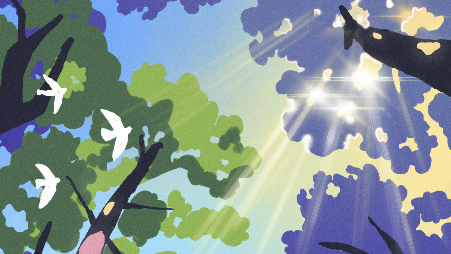 Nuits des Forêts 2025