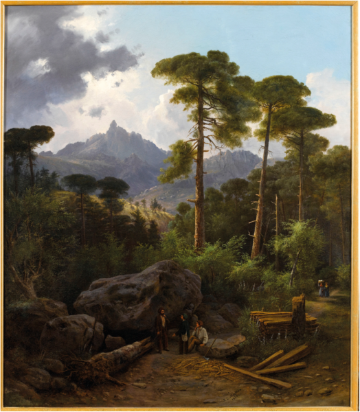Forêts d&rsquo;ici et d&rsquo;ailleurs