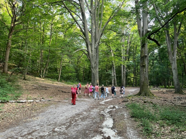 Immersion festive et nature en forêt domaniale de Versailles – 21 juin