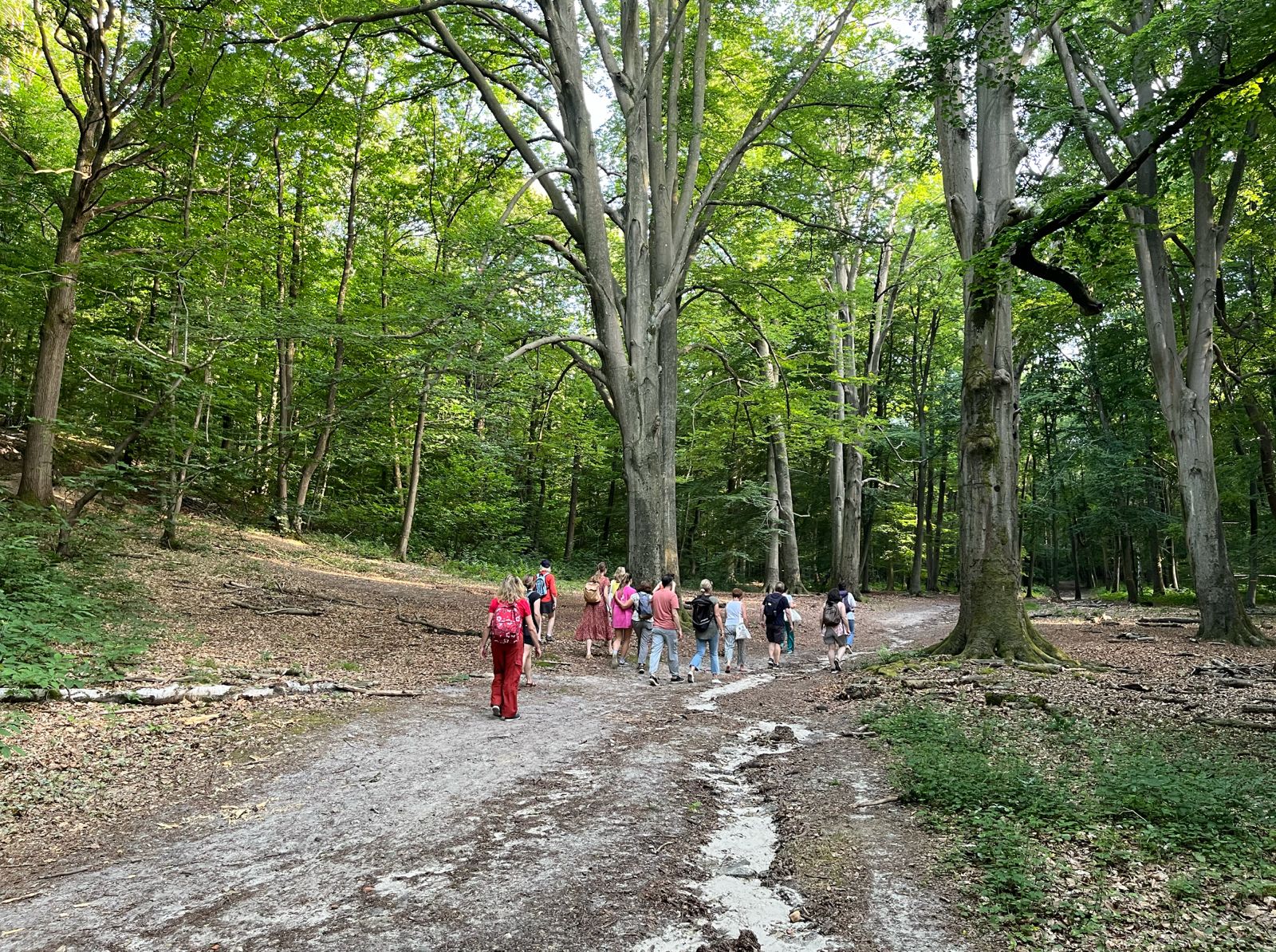 Immersion festive et nature en forêt domaniale de Versailles – 9 juin
