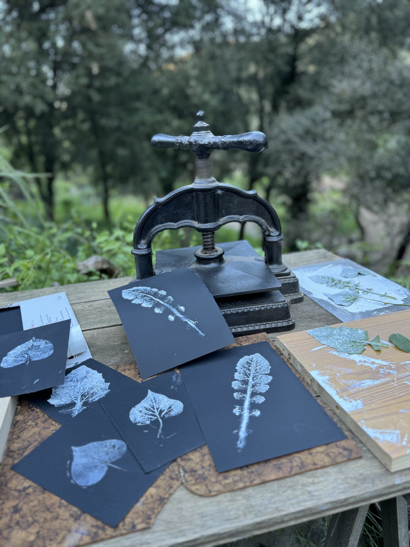 Expérience nocturne immersive au cœur de la forêt