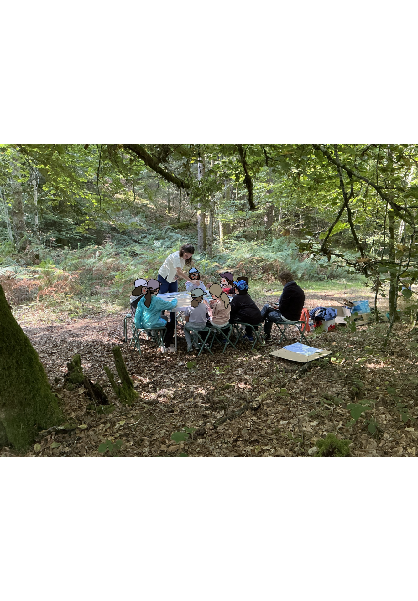 Au rythme de la forêt