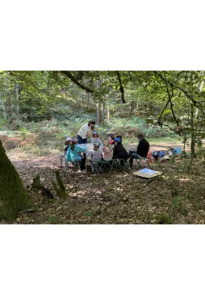 Au rythme de la forêt