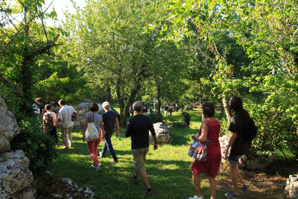 Forêt de Gravières en musique : immersion sensorielle et voyage au cœur du vivant