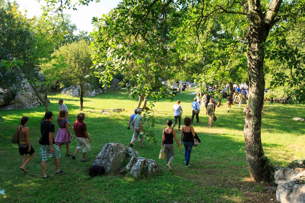 Voix, oiseaux et paysages : immersion musicale à ciel ouvert