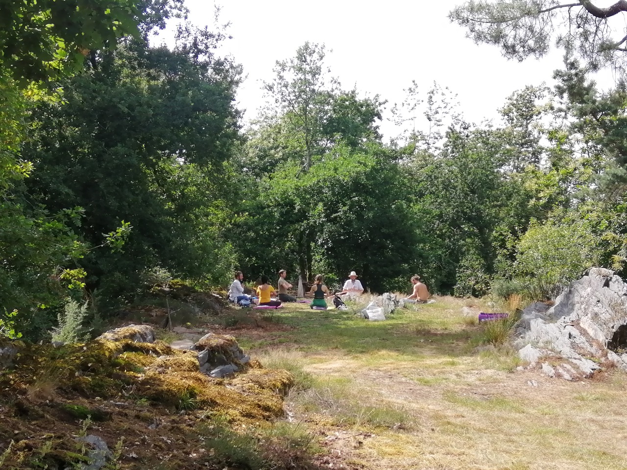 Programme du 8 juin dans la forêt du Moulin à Particules