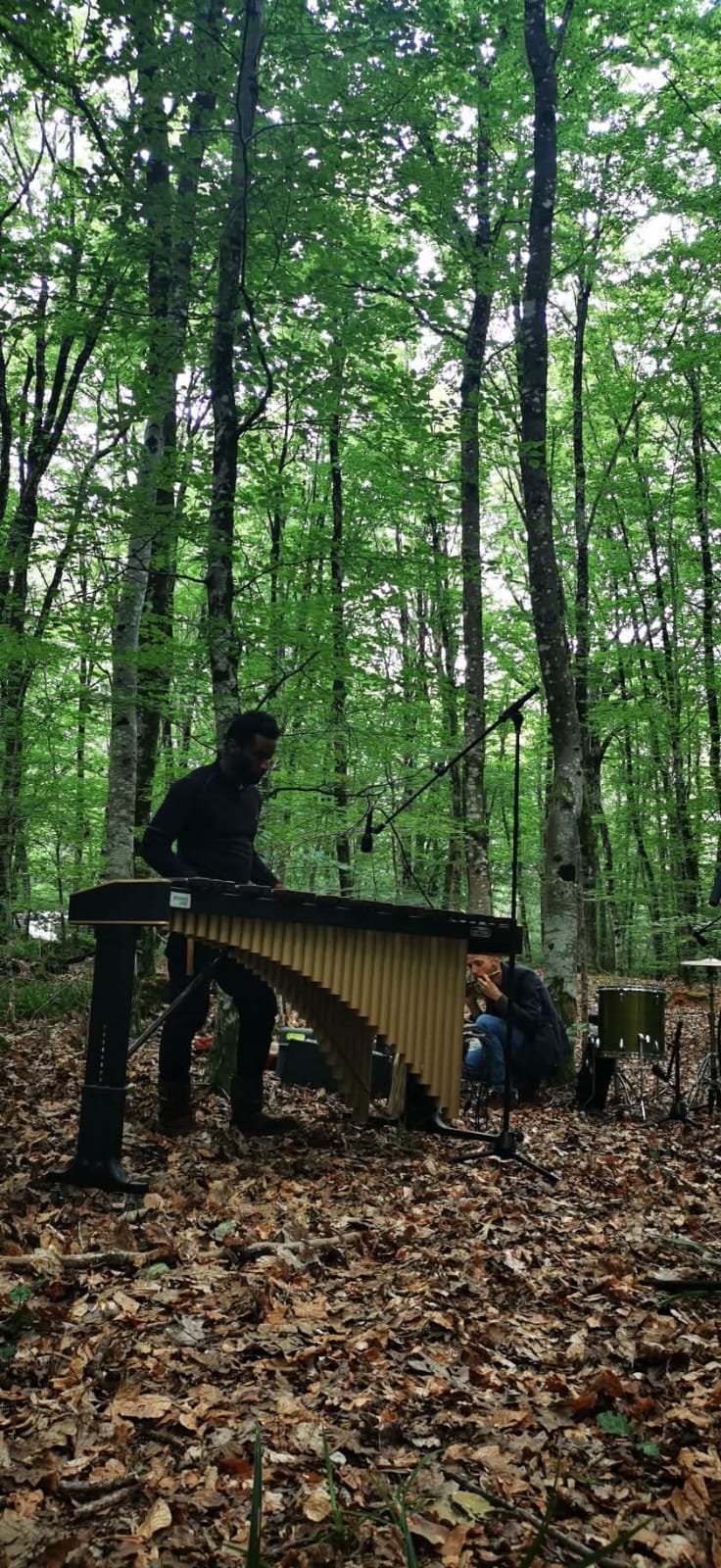Exploration entre forêt, science et imaginaire