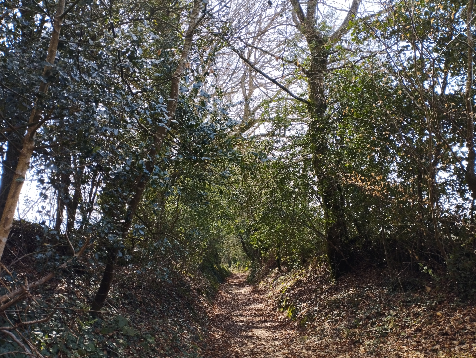 Immersions dans le massif de Lomelec – 13-14 JUIN