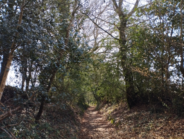 Immersions dans le massif de Lomelec – 13-14 JUIN